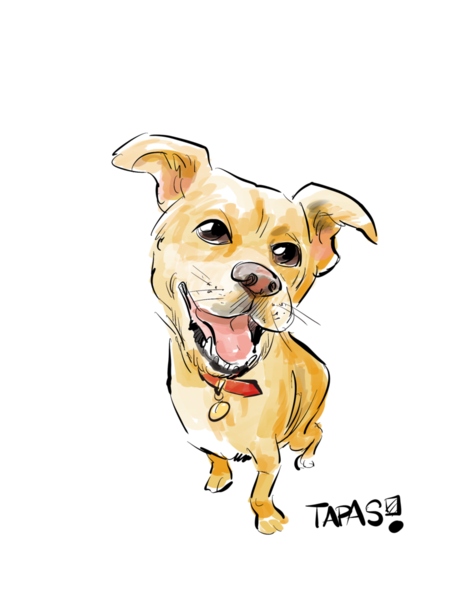 Featured image of post Dog Caricature Pictures : Also you can hire caricature artist for parties and various events.